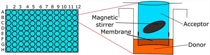 Fig. 3 Skin-PAMPA method.